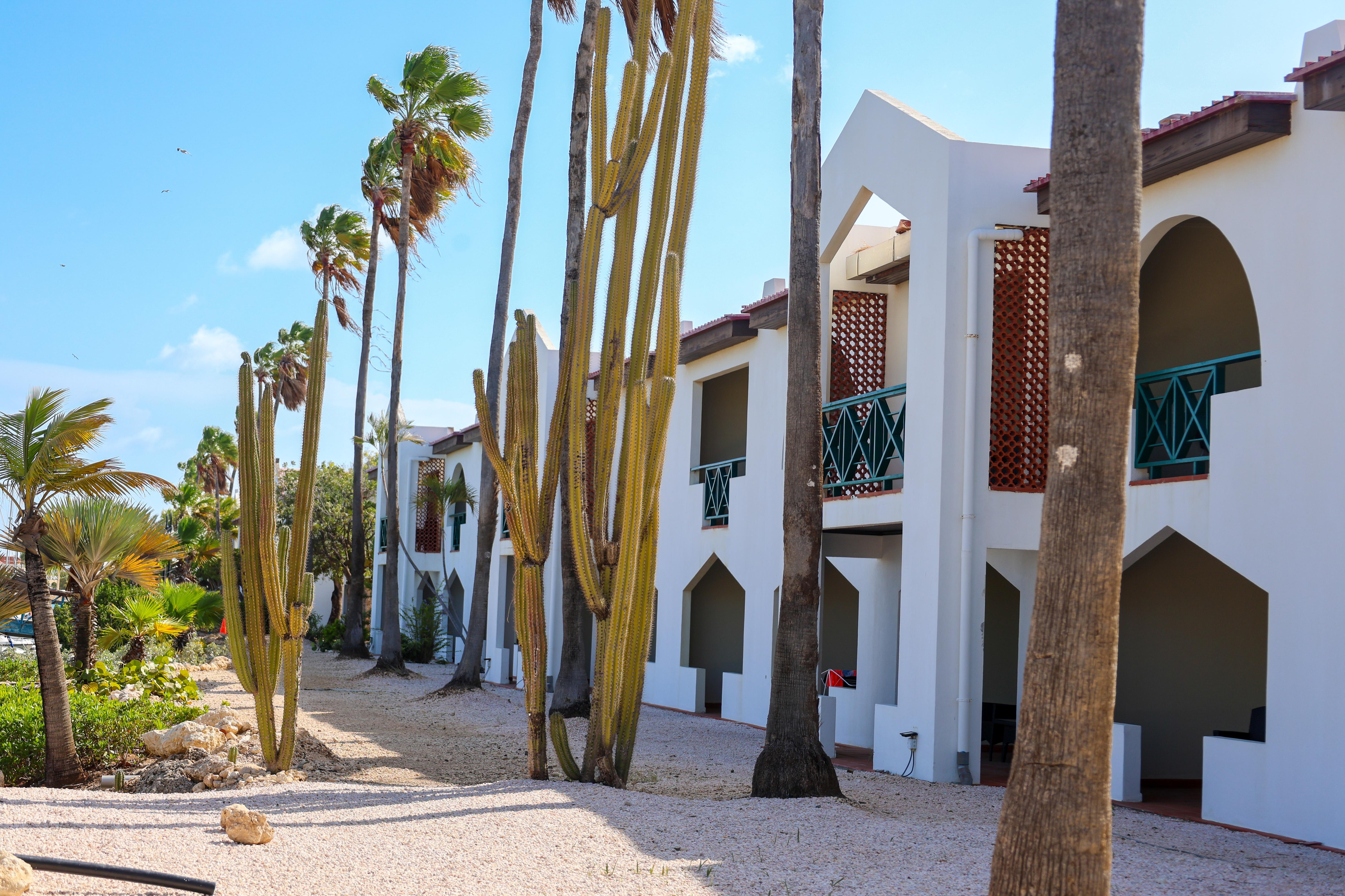 Van Der Valk Plaza Beach & Dive Resort Bonaire Playa Exteriör bild